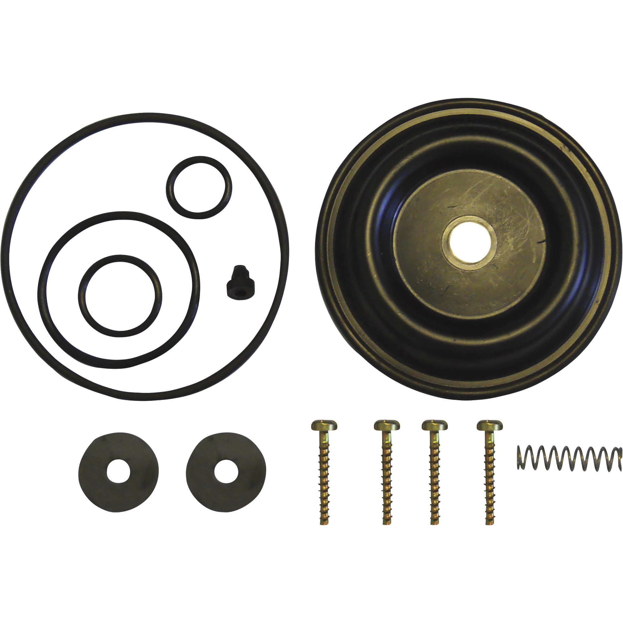Solo Diaphragm Pump Repair Kit, For Solo 475-B, 485 and 473-D Pumps, Model# 0610406-K